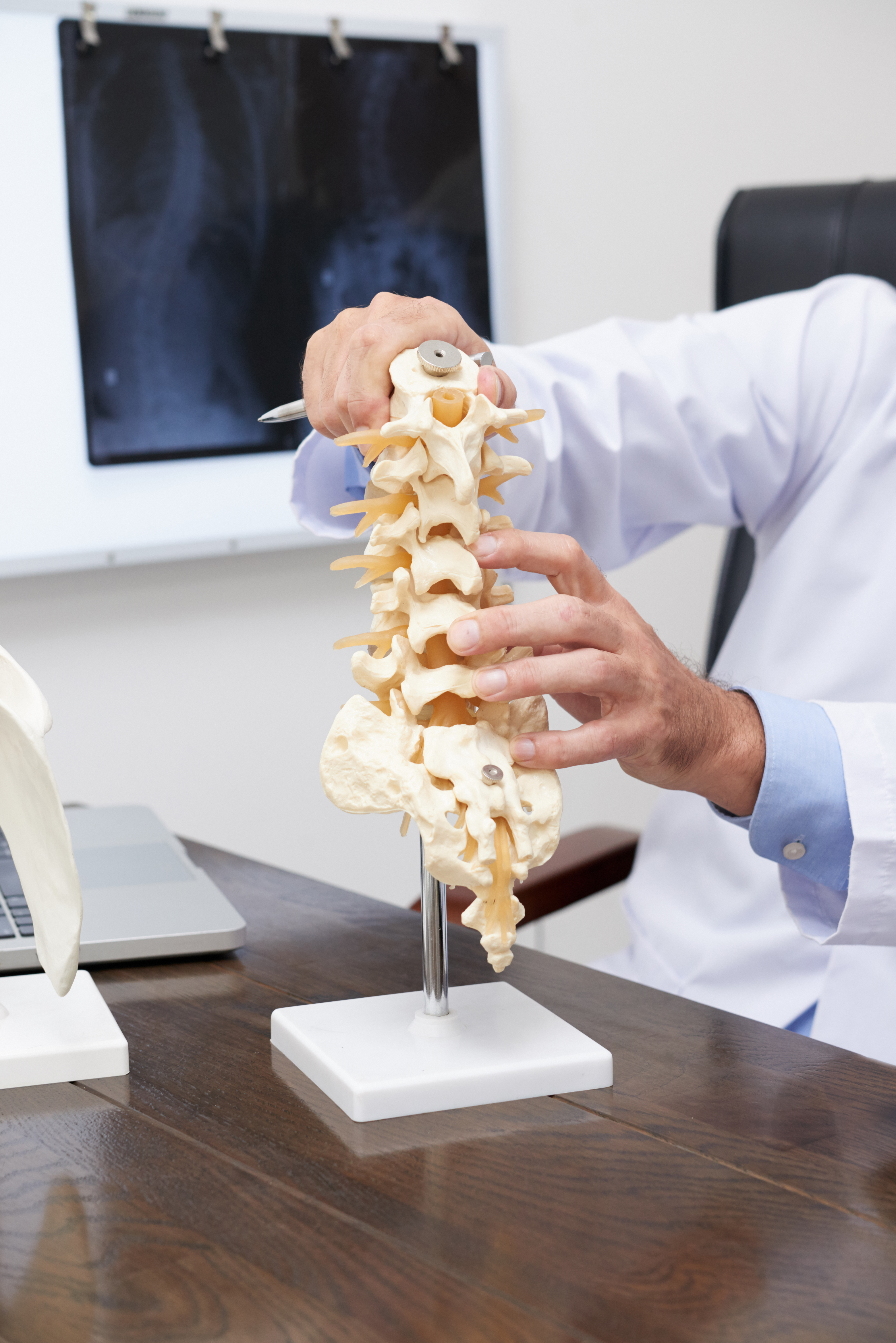 Orthopaedics, Trauma & Joint Replacement